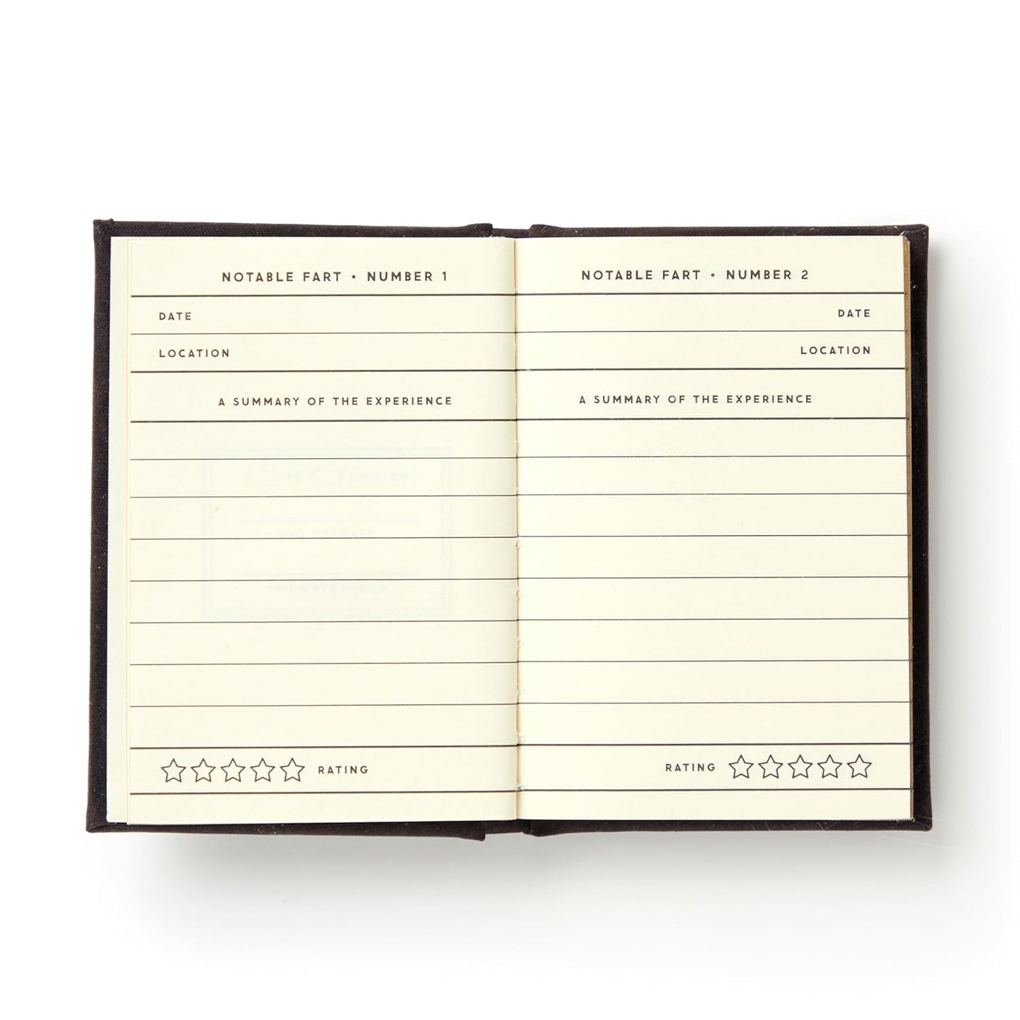 A TINY FART DIARY