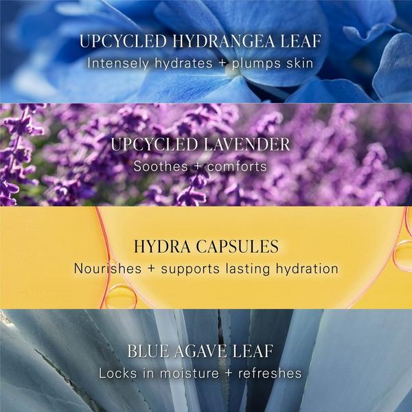 BYROE Hydrangea Tea Intensive Hydration Serum 30ml