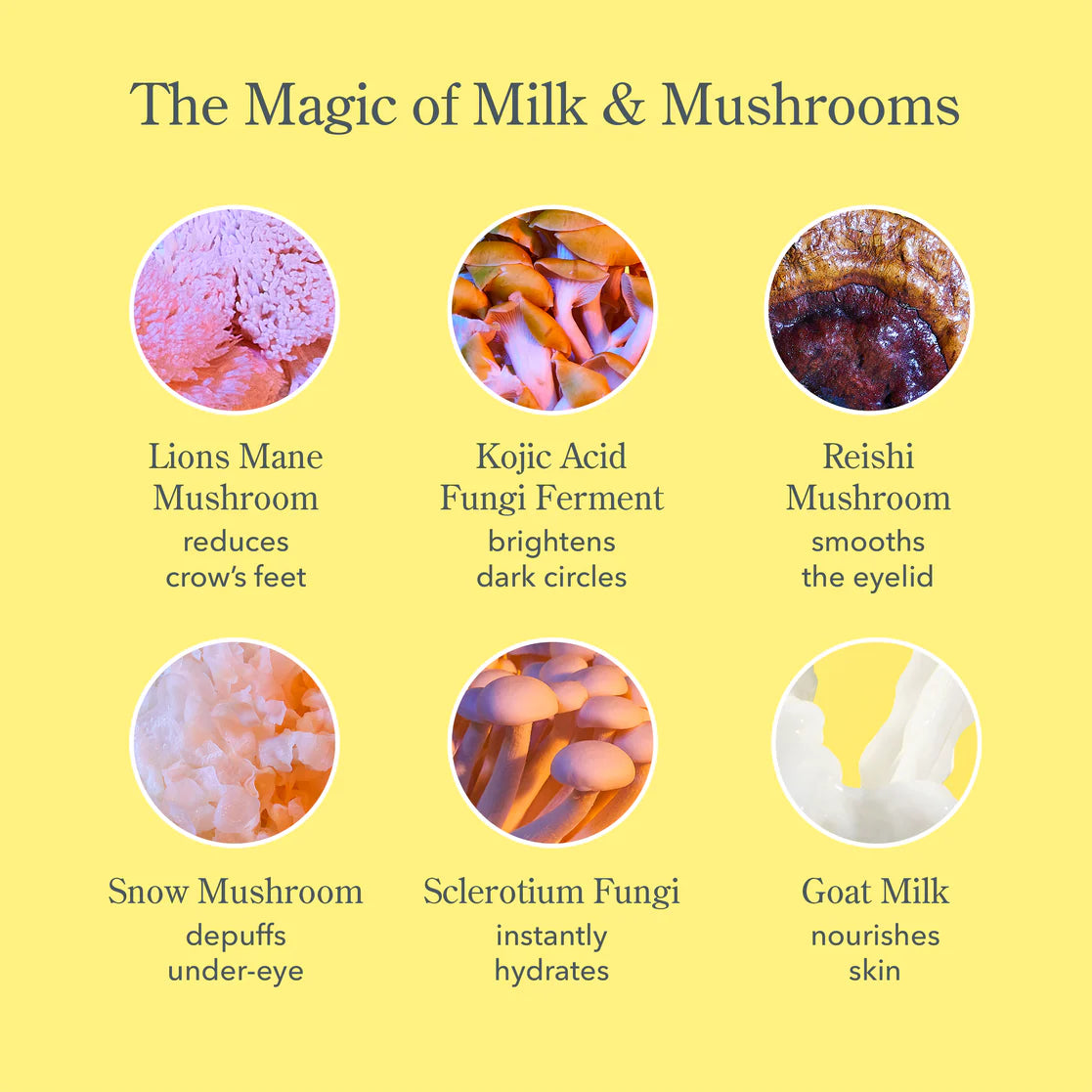 BEEKMAN Mushroom Milk Better Aging Eye Cream