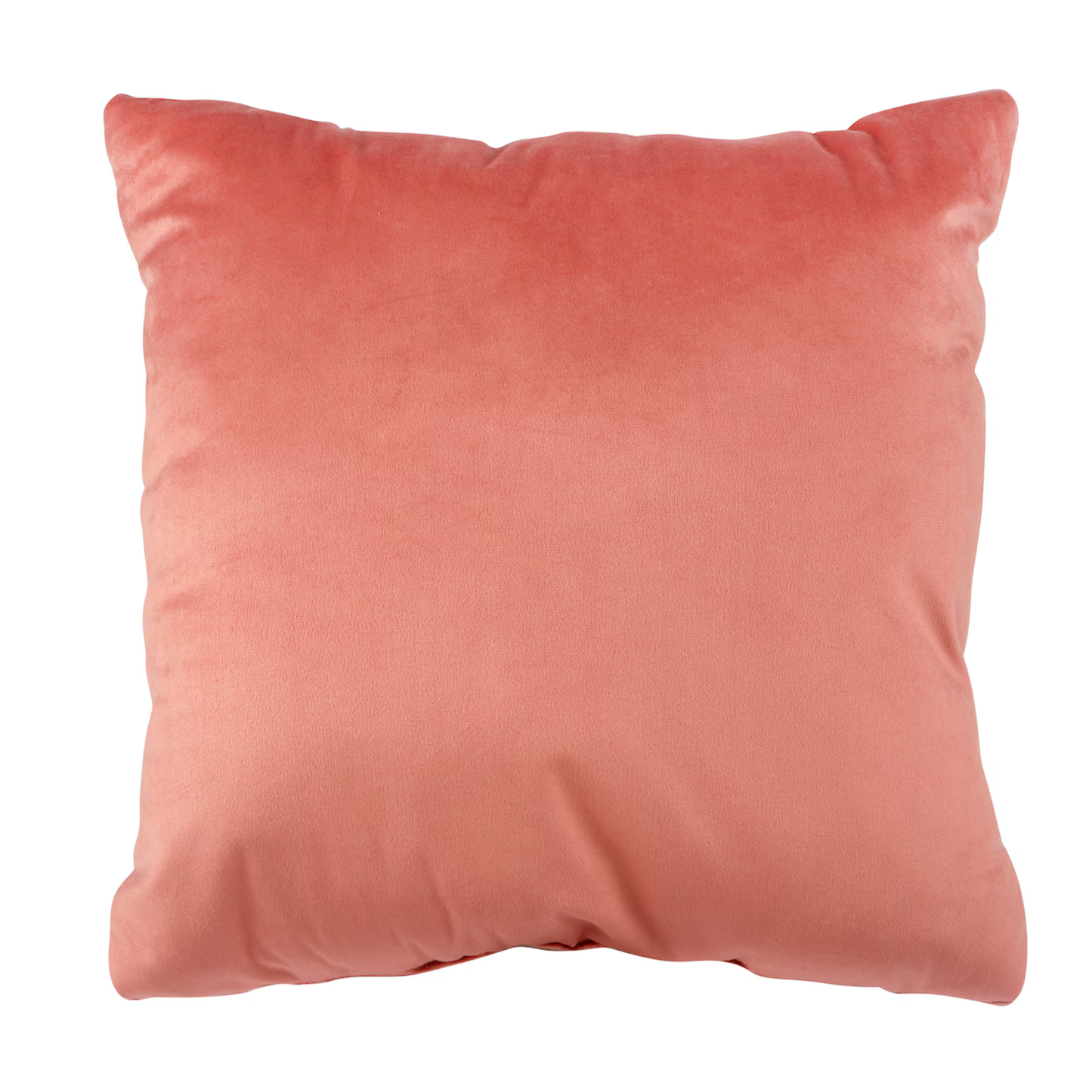 Viva La Velvet Tiger Print Pillow