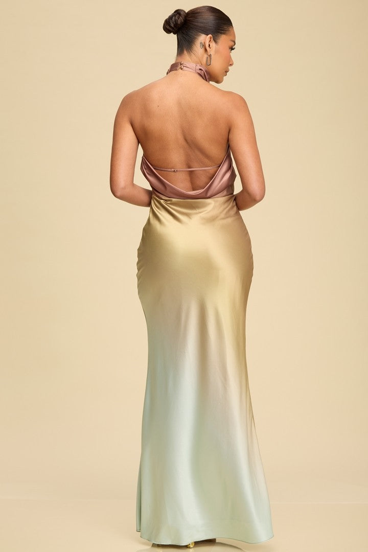 Shimmer Shift Ombre Maxi Dress Gown