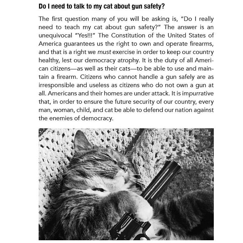 How to Talk to Your Cat About Gun Safety Book