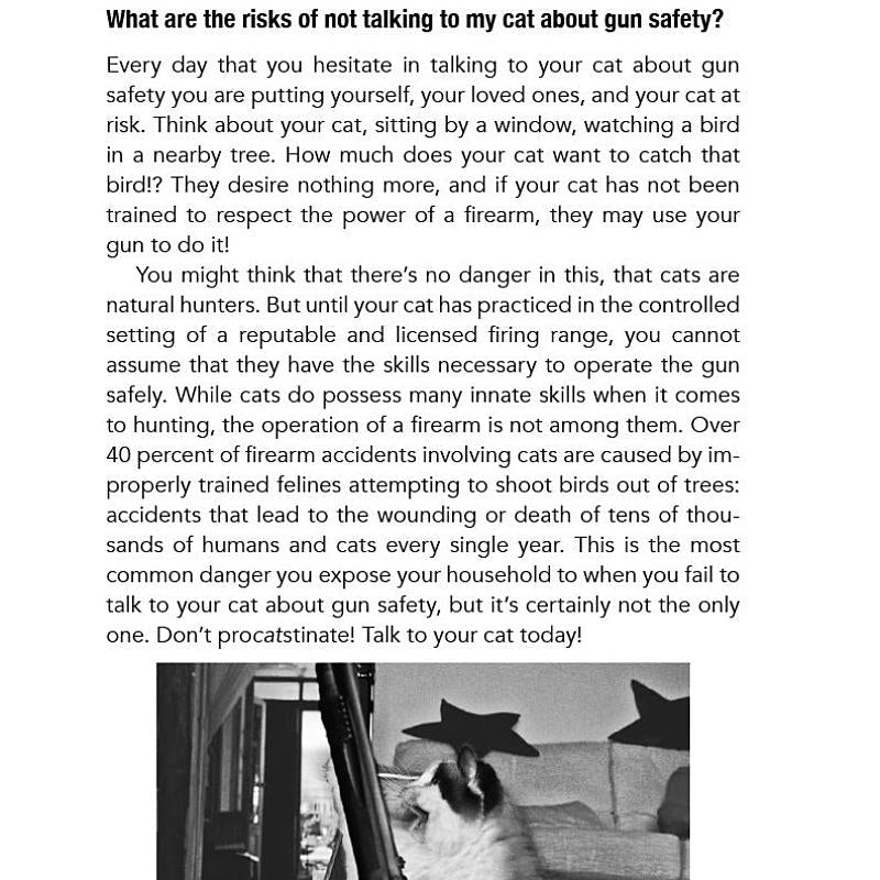 How to Talk to Your Cat About Gun Safety Book
