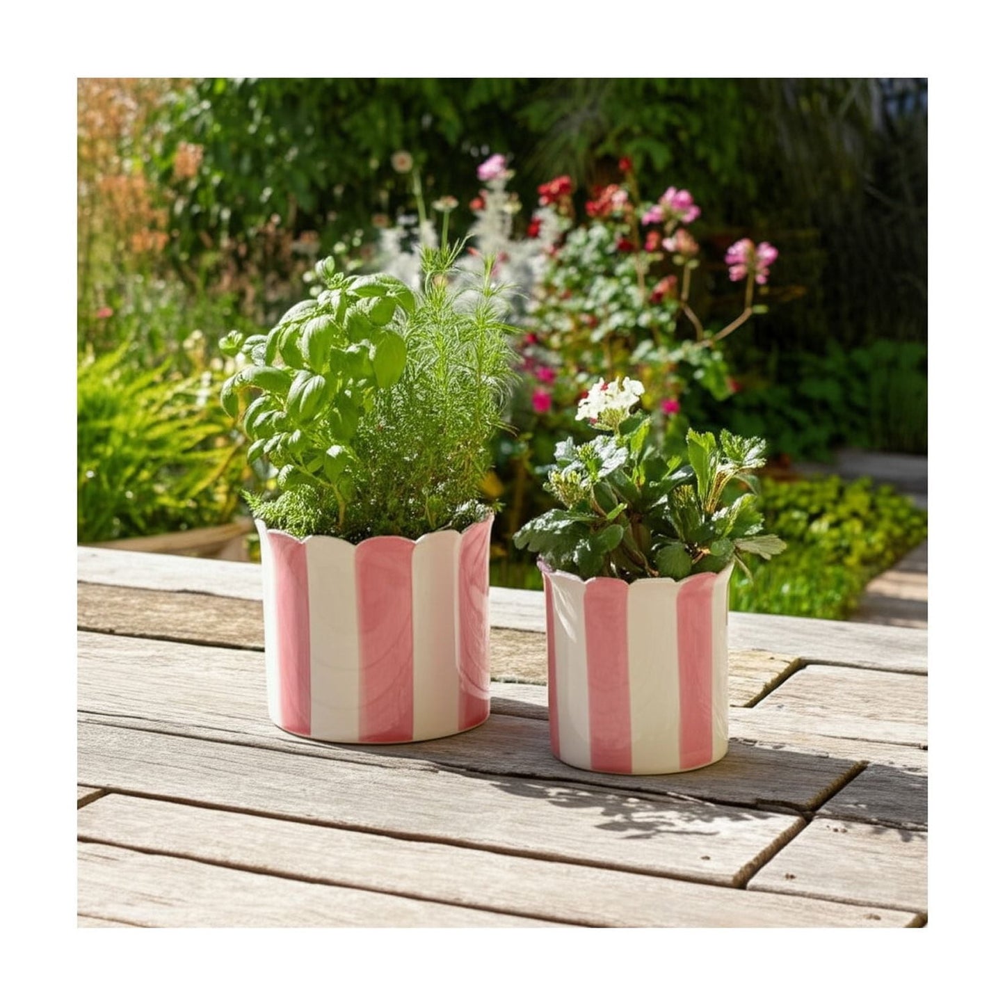 Set of 2 Pink Striped Ceramic Planters
