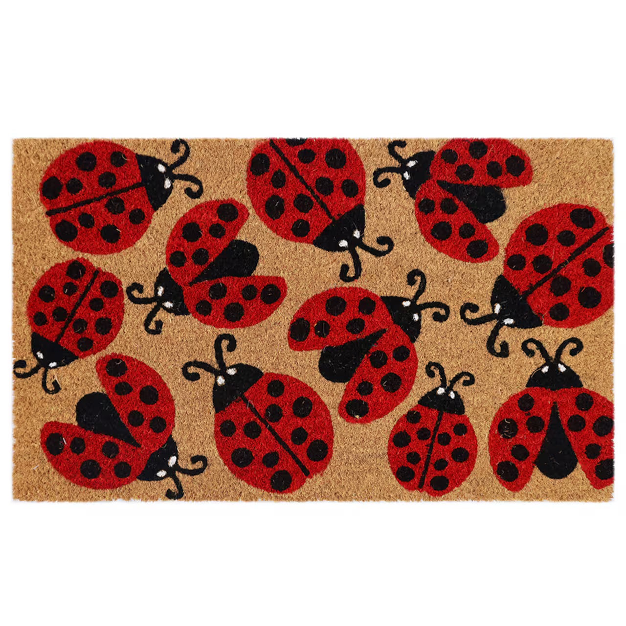 Ladybug Love Coir Doormat