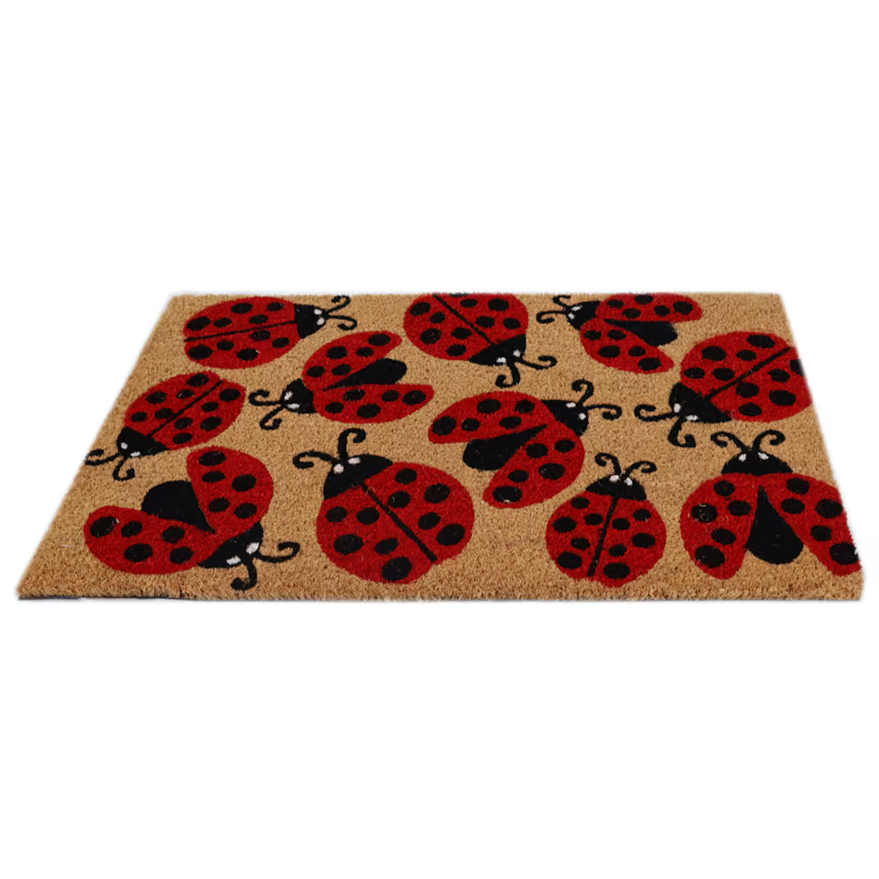 Ladybug Love Coir Doormat