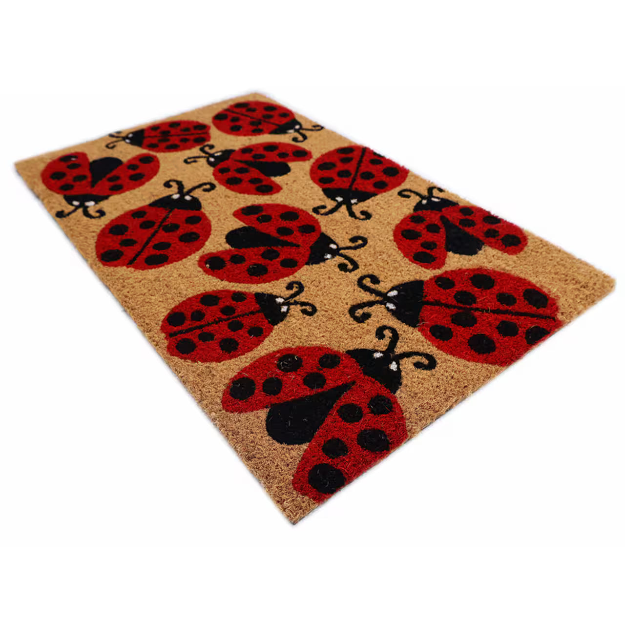 Ladybug Love Coir Doormat