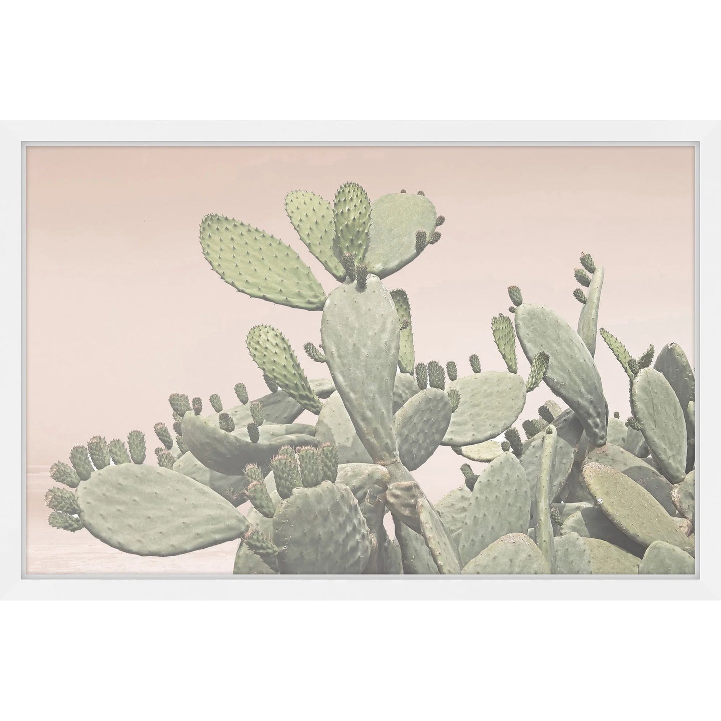 Southwestern Cactus Bunch Framed Print Wall Art
