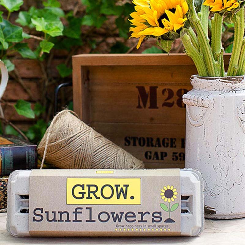 Grow Sunflowers Flower Garden Grow Kit