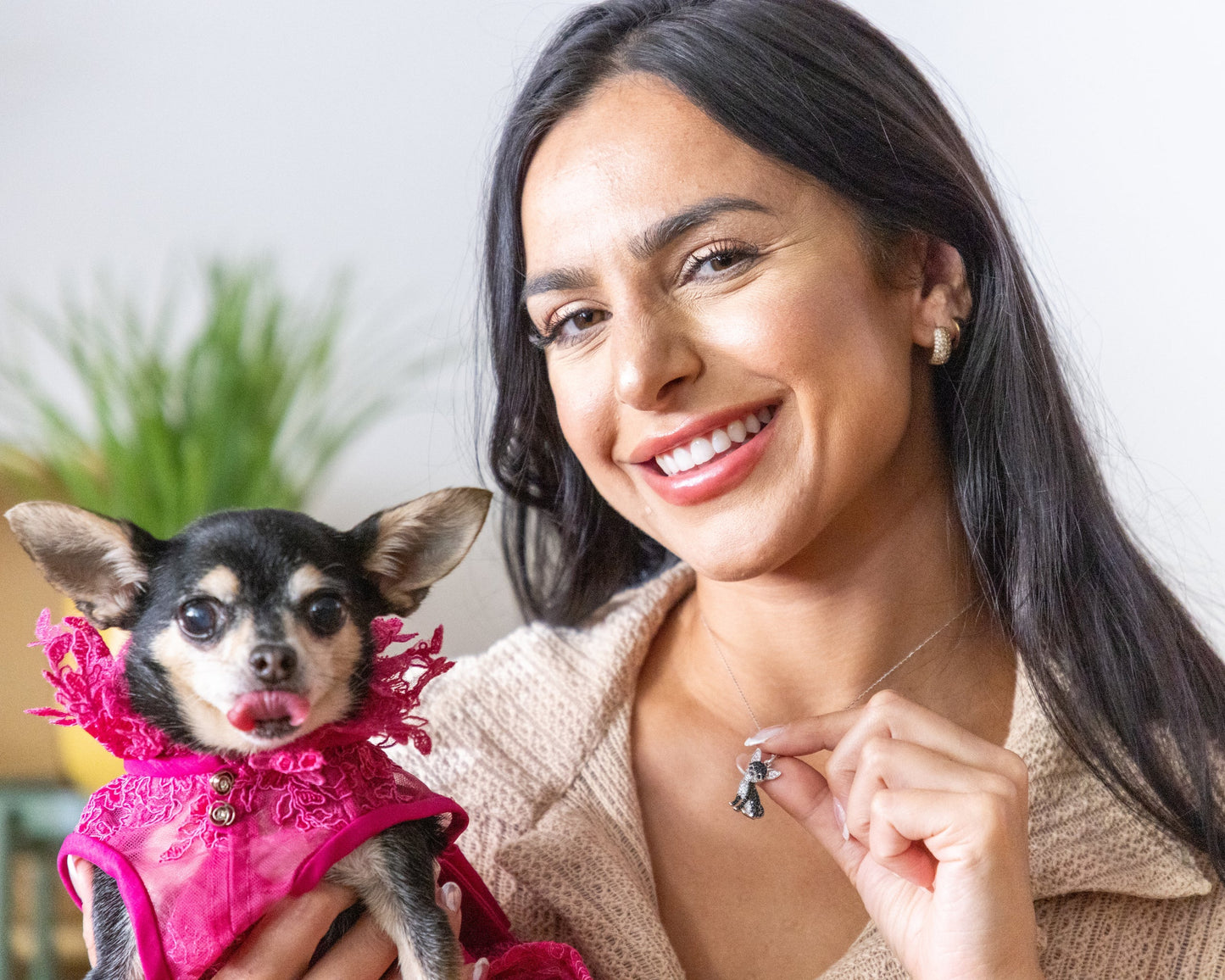 Chihuahua Dog Breed Rhodium Sterling Silver CZ Necklace