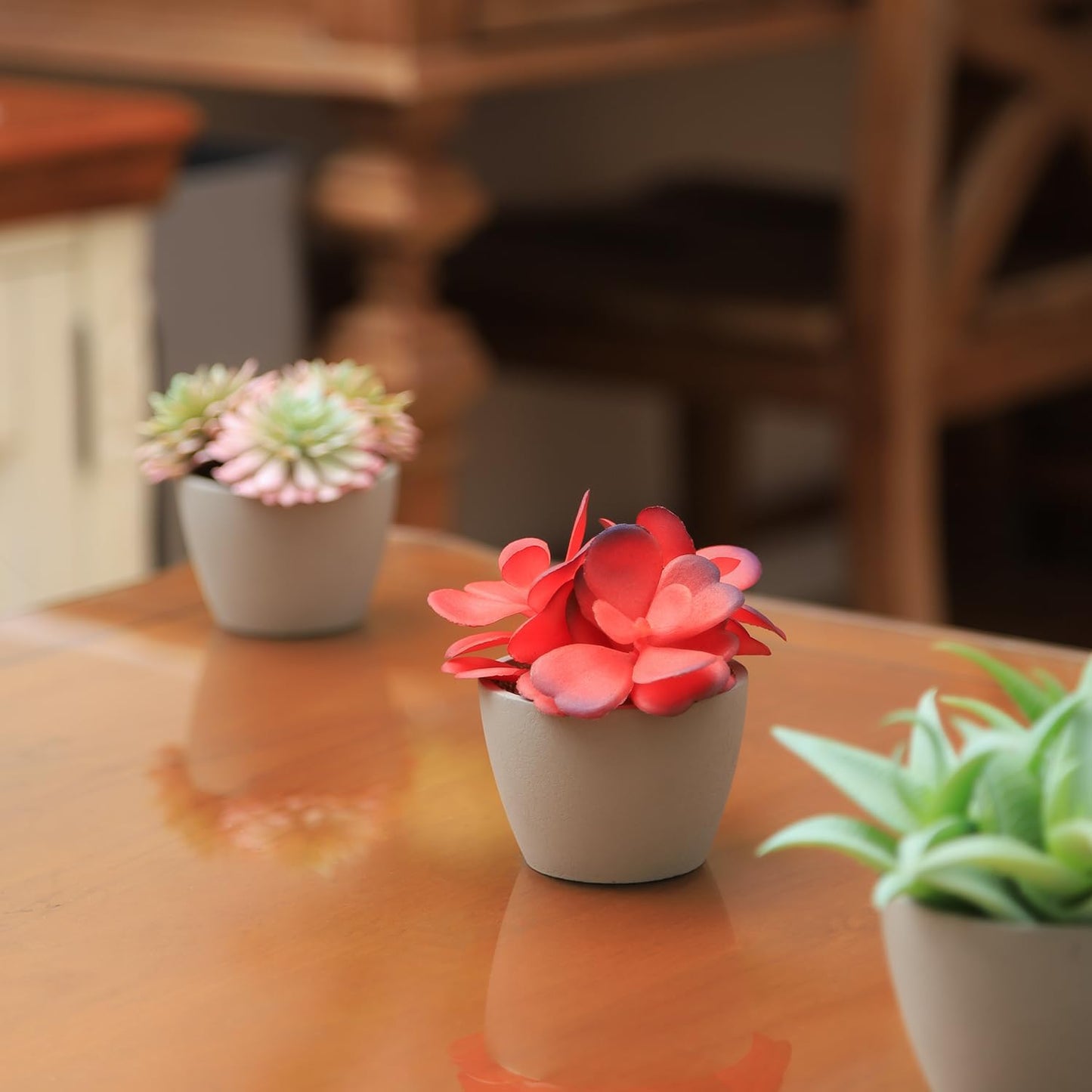 Set of 3 Artificial Succulents in Pots
