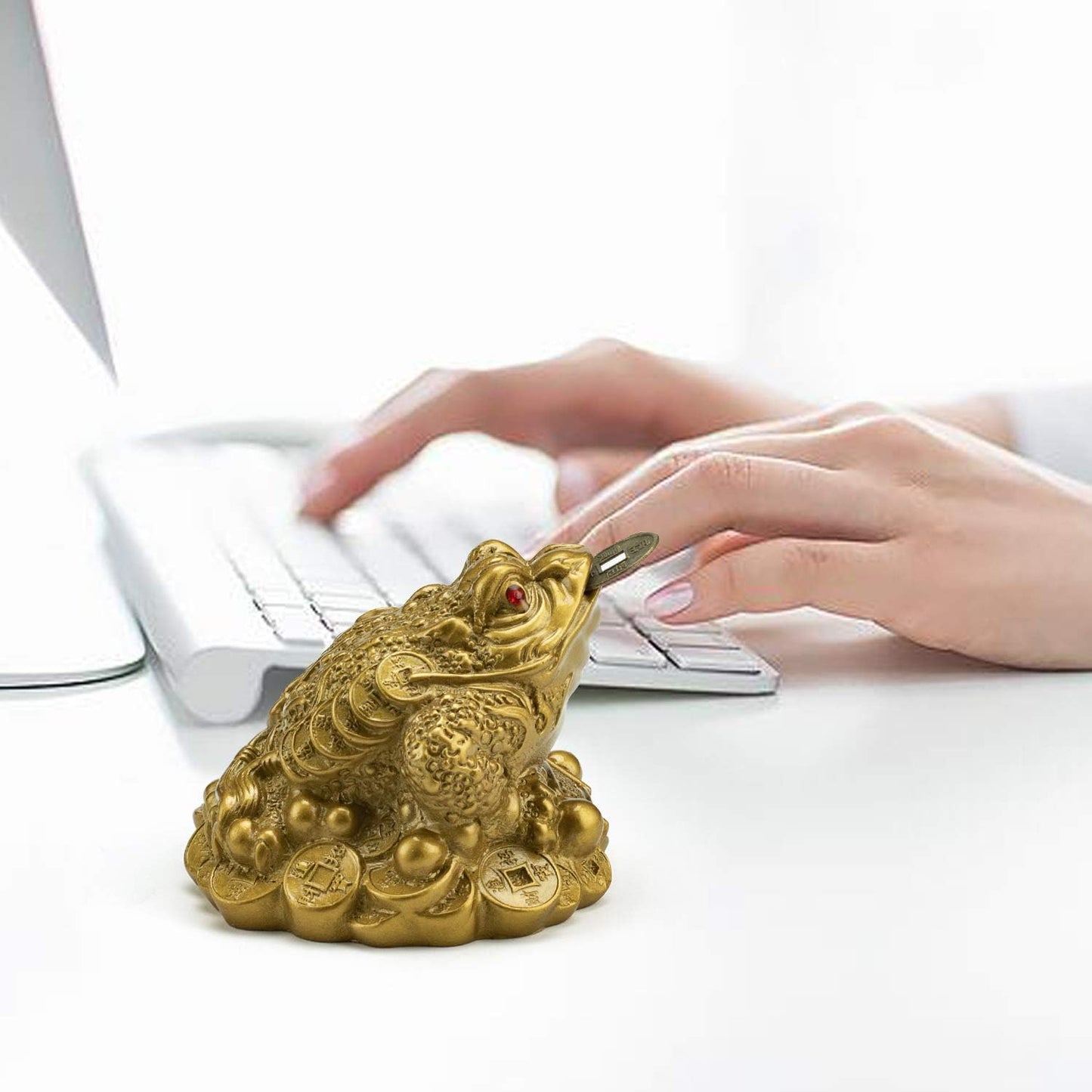 The Infamous Lucky Feng Shui Money Frog