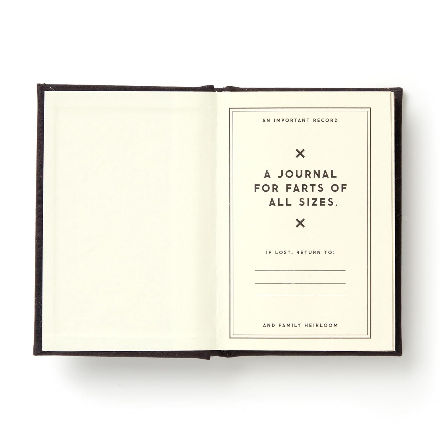 A TINY FART DIARY