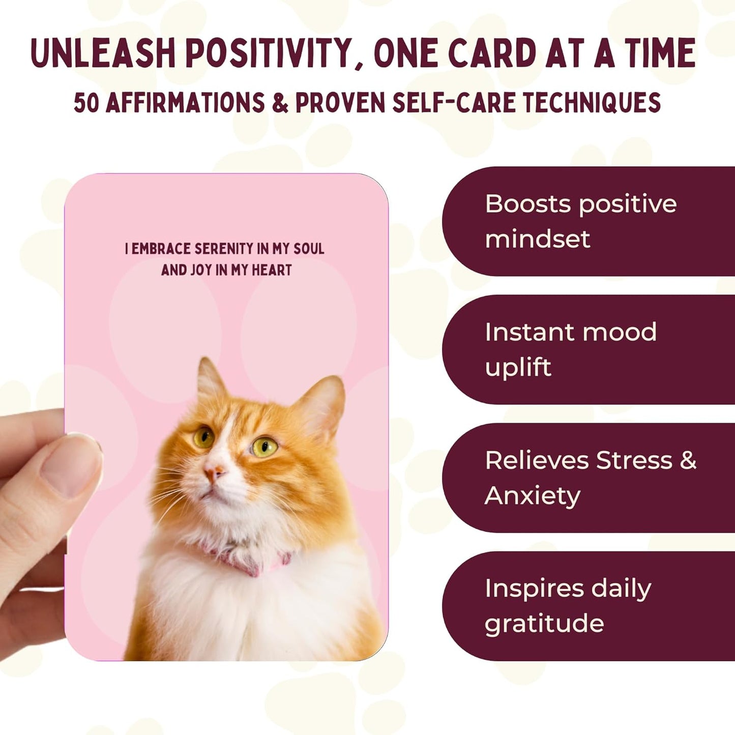 Pawsitive Vibes Inspirational Cat Cards