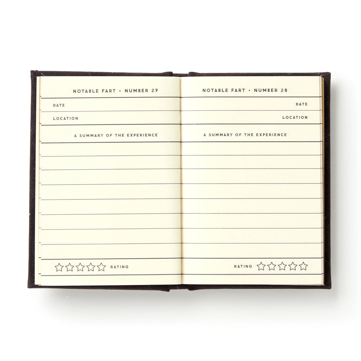 A TINY FART DIARY