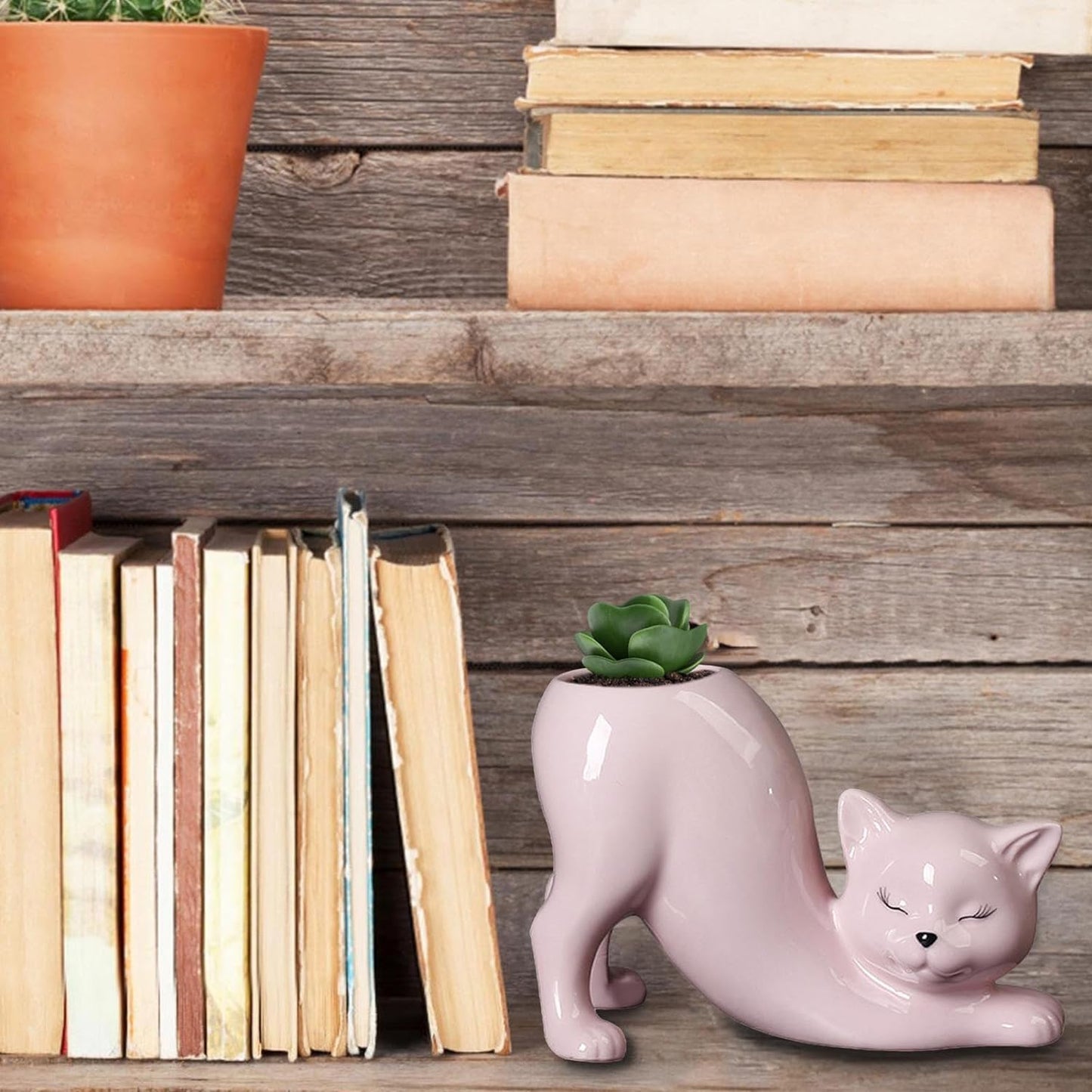 Set of 2 Grow A Tail Cat Theme Planters