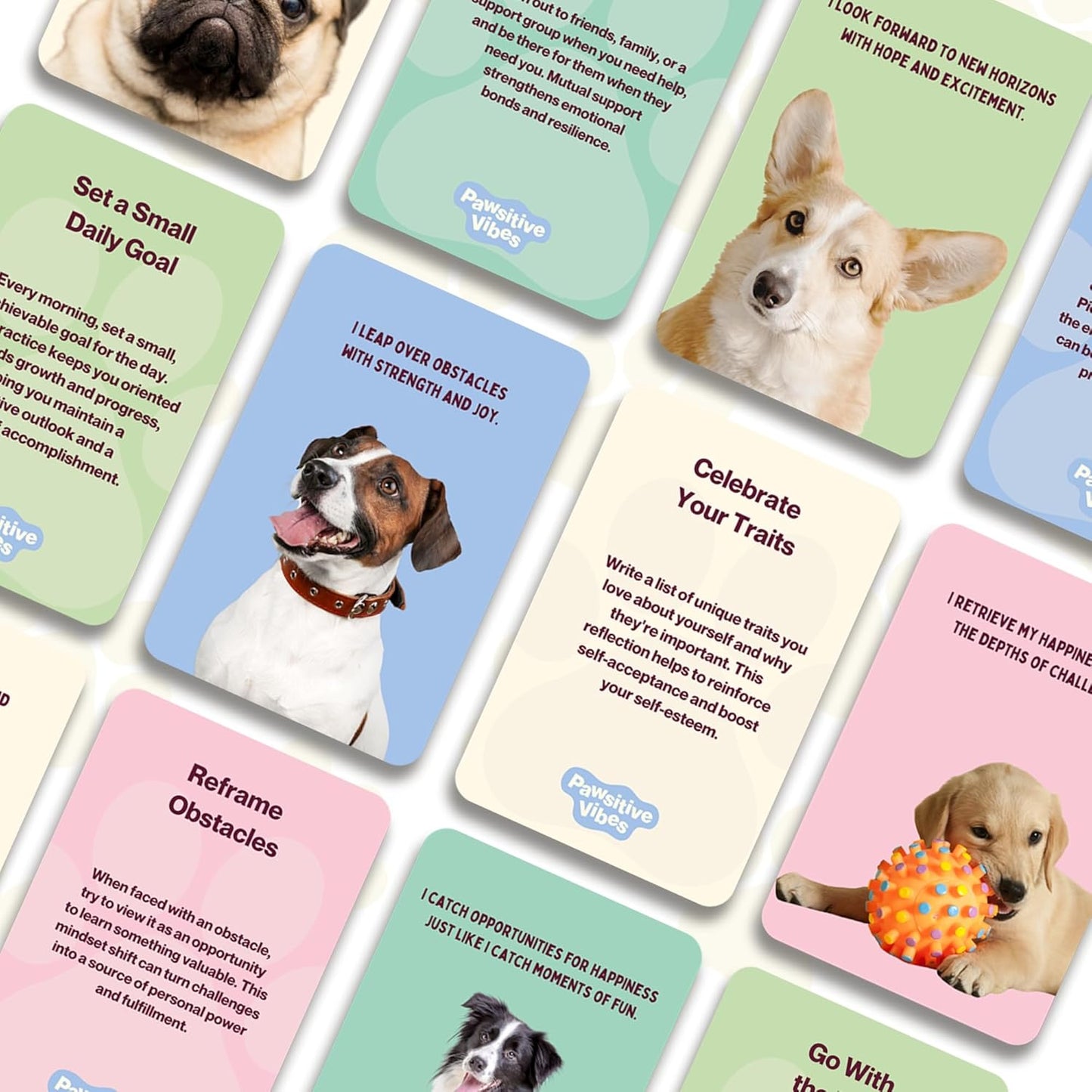 Pawsitive Vibes Inspirational Dog Cards