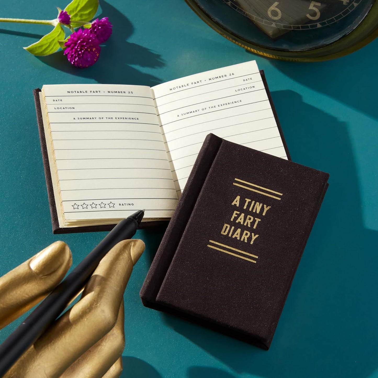 A TINY FART DIARY