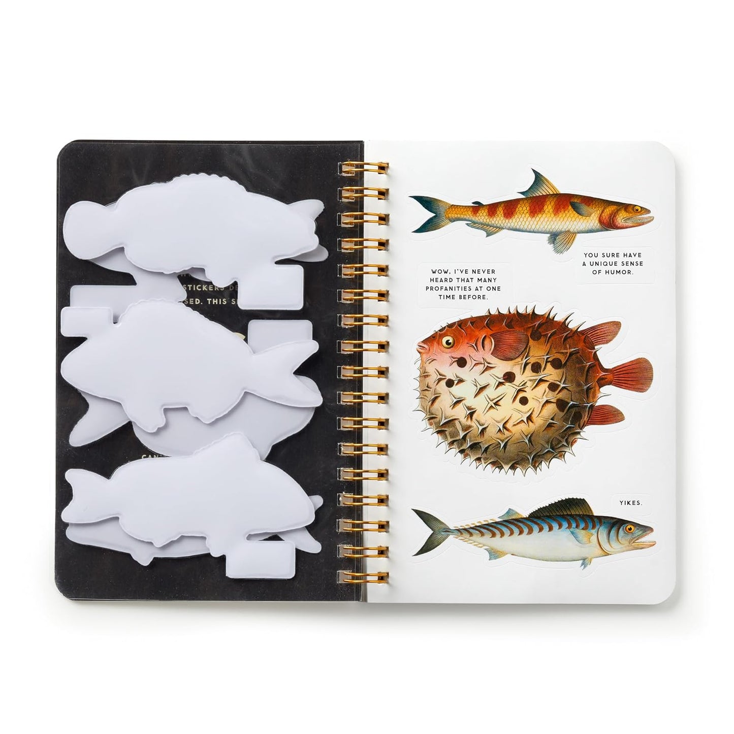 Judgy Fish Adult Sticker Book