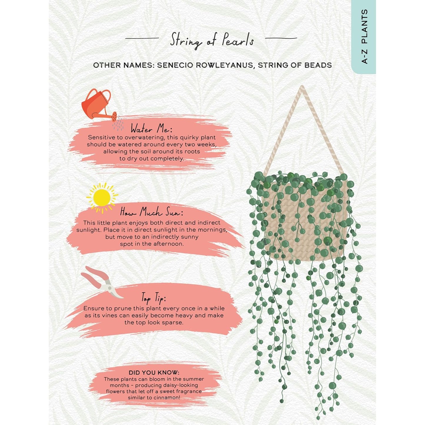 Please Don't Die Houseplant Book