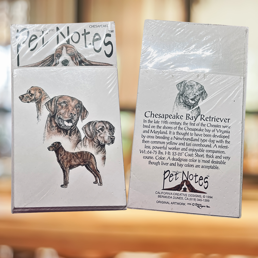 Vintage Dog Breed Note Card Set - Chesapeake Bay Retriever