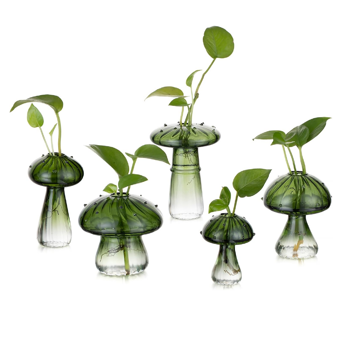 5 PC Decor Set of Glass Mushroom Design Single Stem Vases