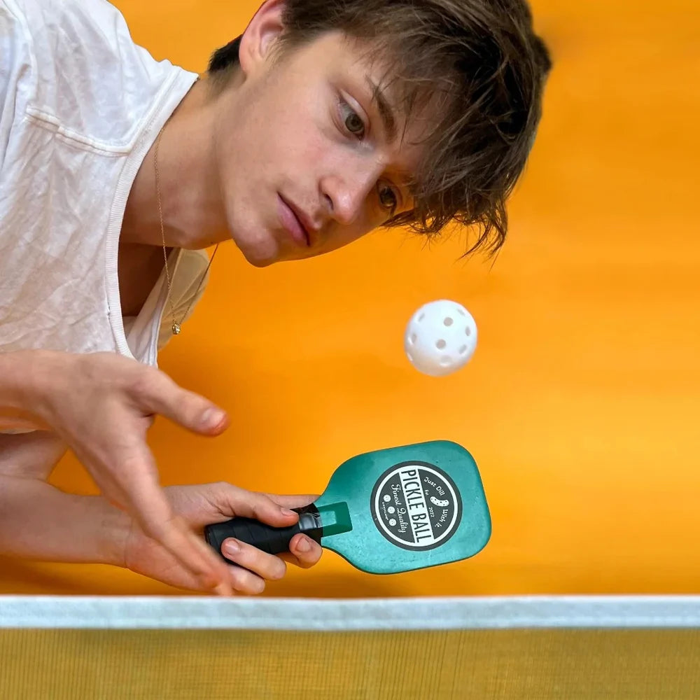 Desktop Pickleball Game