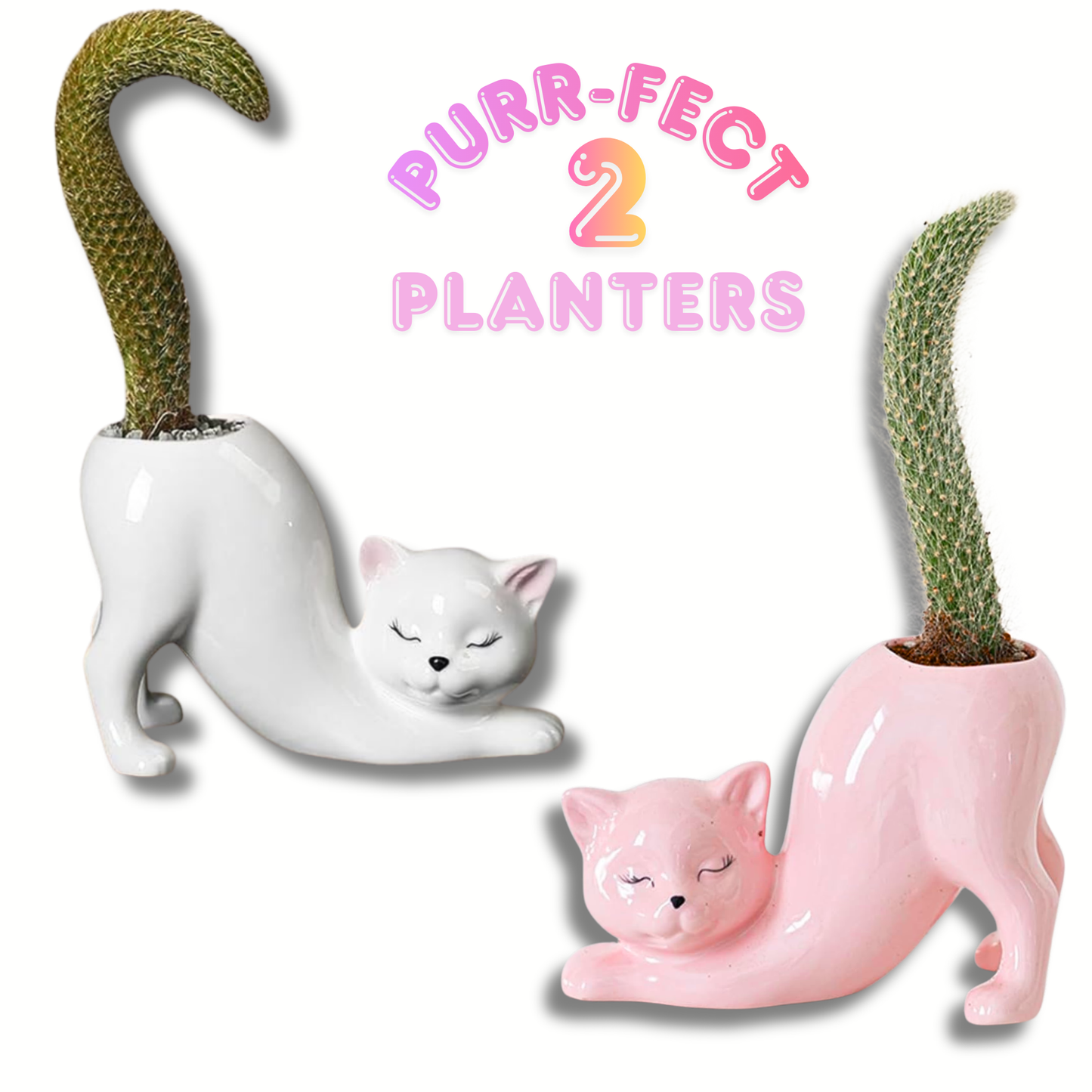 Set of 2 Grow A Tail Cat Theme Planters