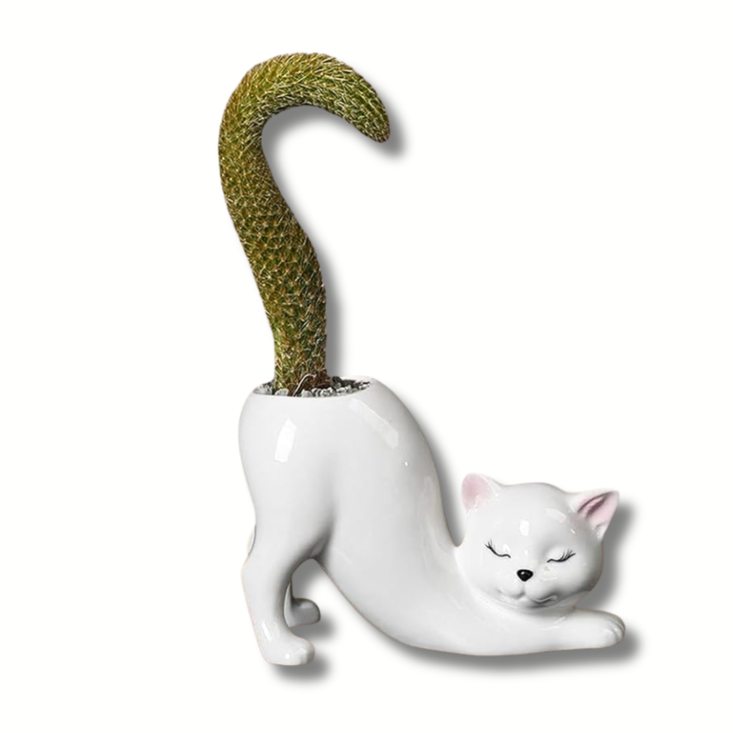 Set of 2 Grow A Tail Cat Theme Planters