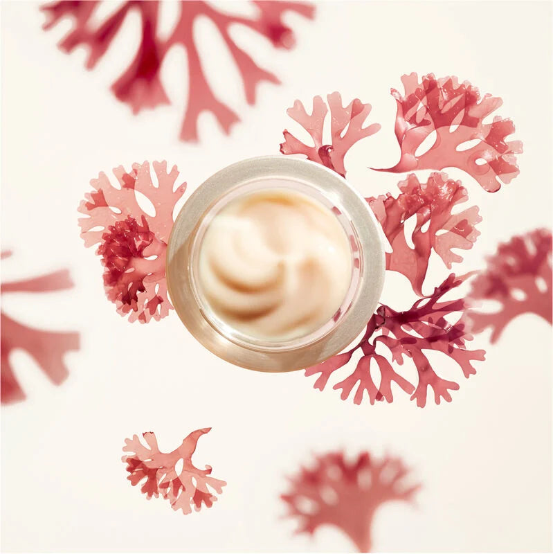 Shiseido Benefiance Wrinkle Smoothing Day Cream SPF 23