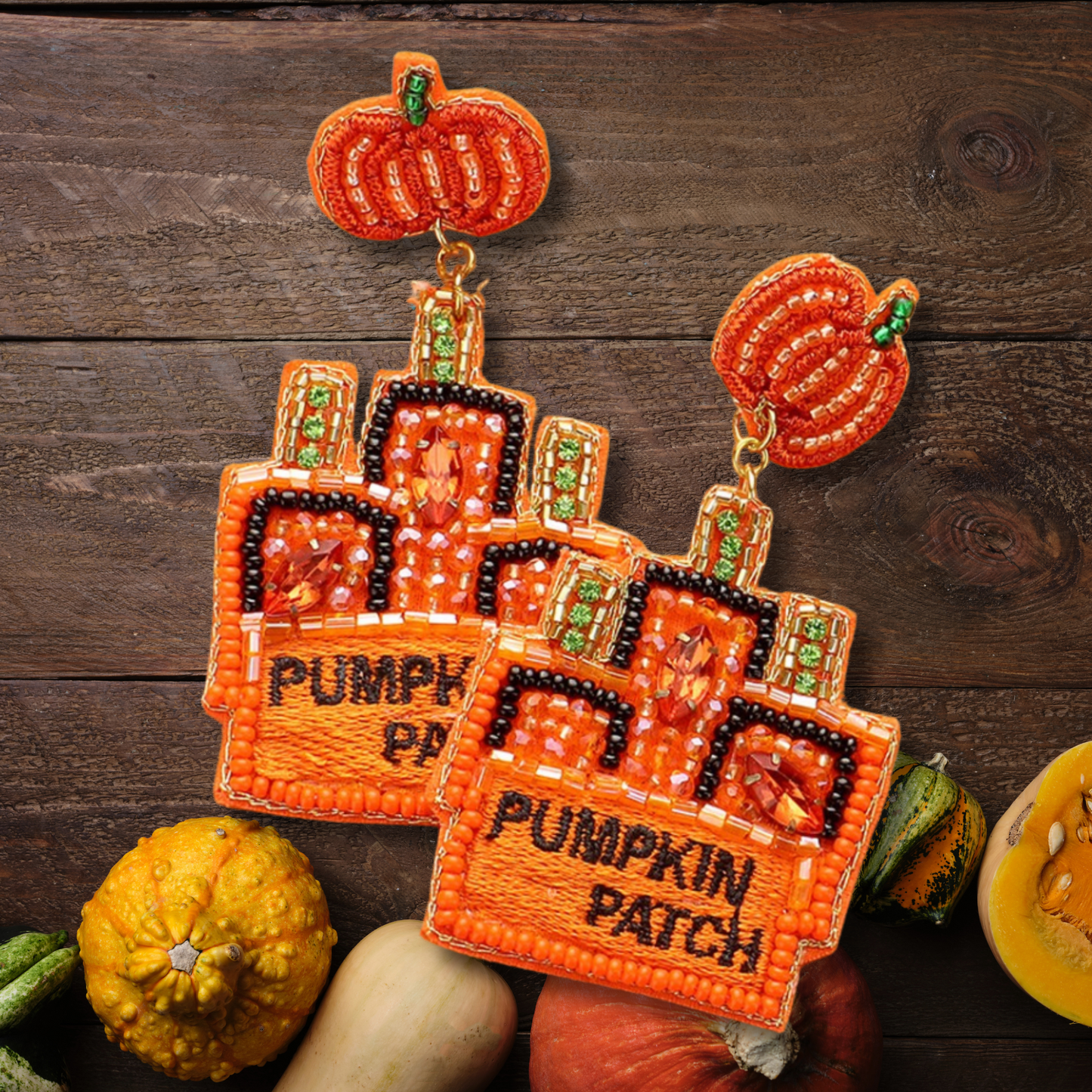 Pick A Pumpkin Patch Fall Autumn Halloween Beaded Earrings