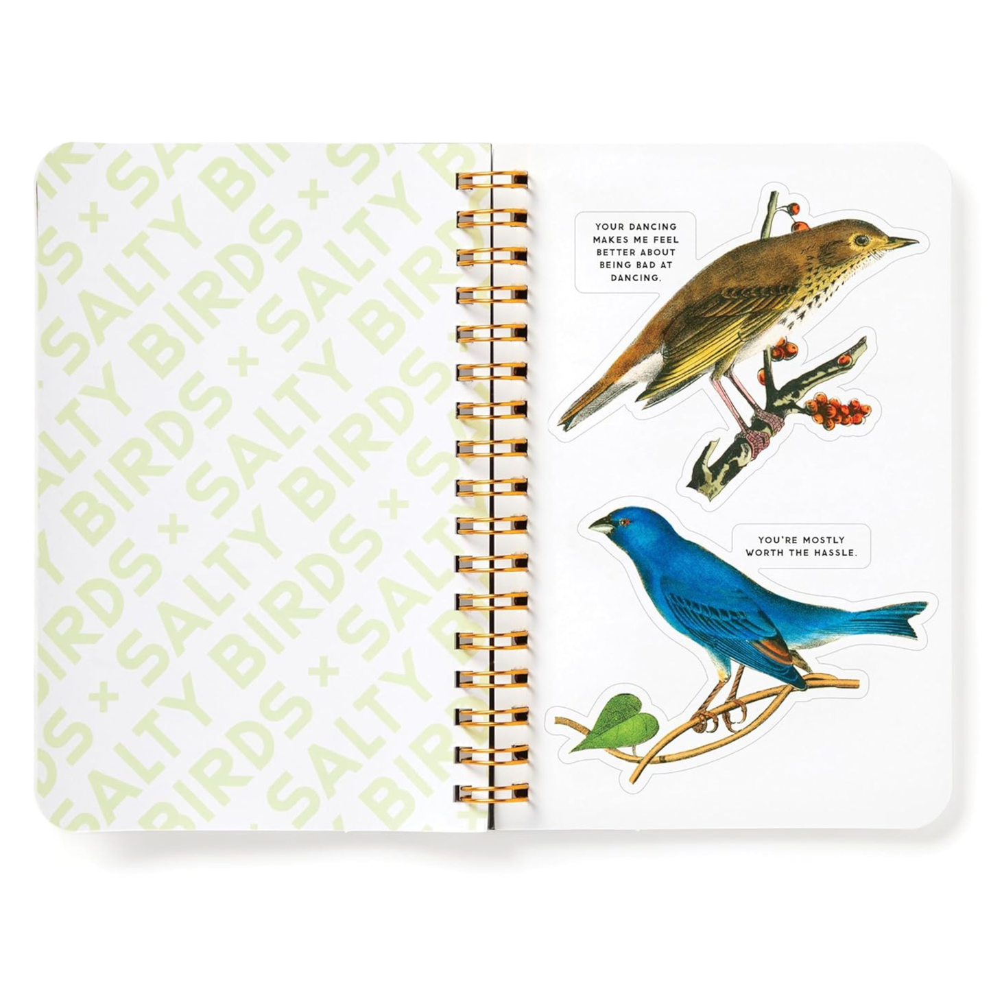 Salty Birds Snarky Sticker Book