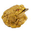The Infamous Lucky Feng Shui Money Frog
