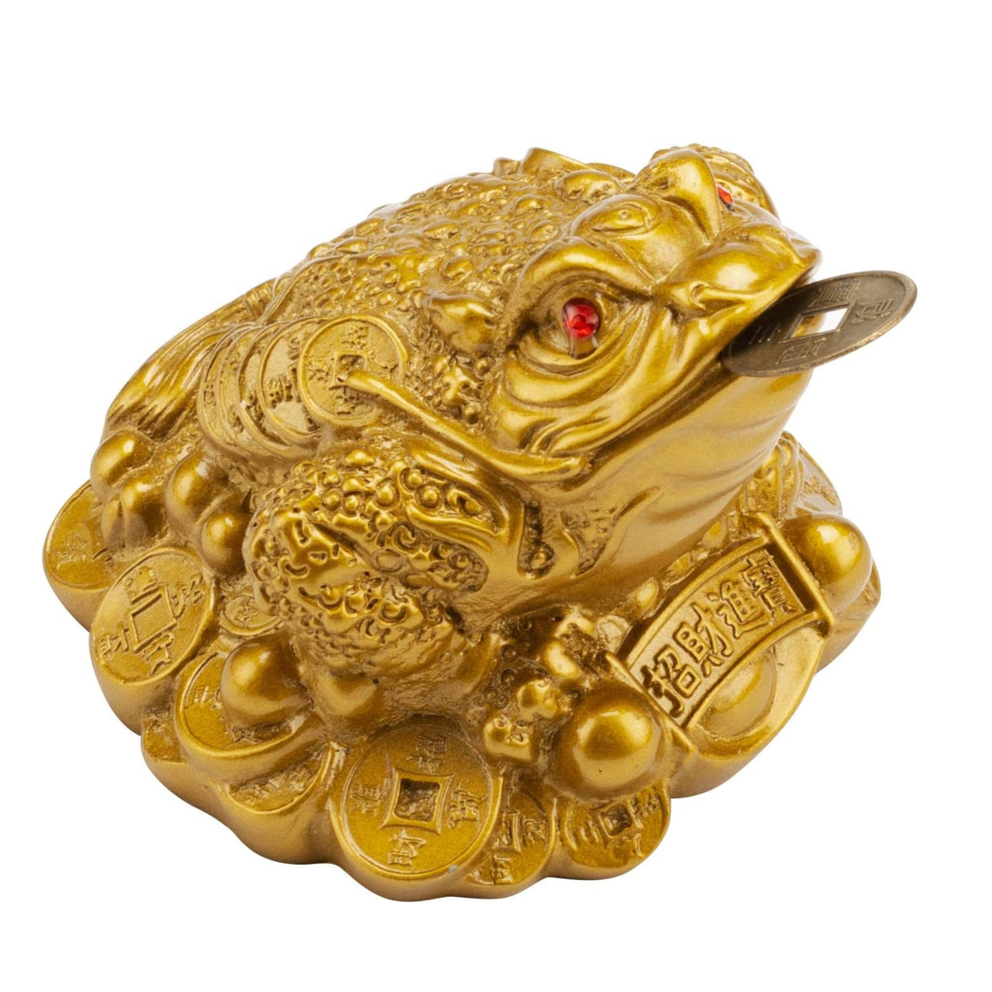 The Infamous Lucky Feng Shui Money Frog