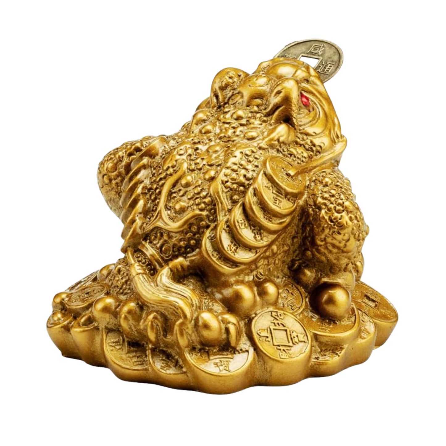The Infamous Lucky Feng Shui Money Frog