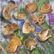 Fair Trade Hand Carved Wooden Trinket Trays