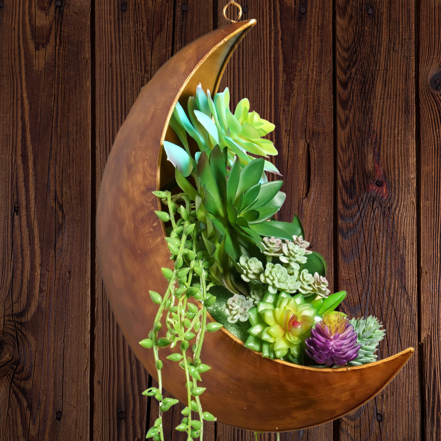 Crescent Moon Hanging Planter