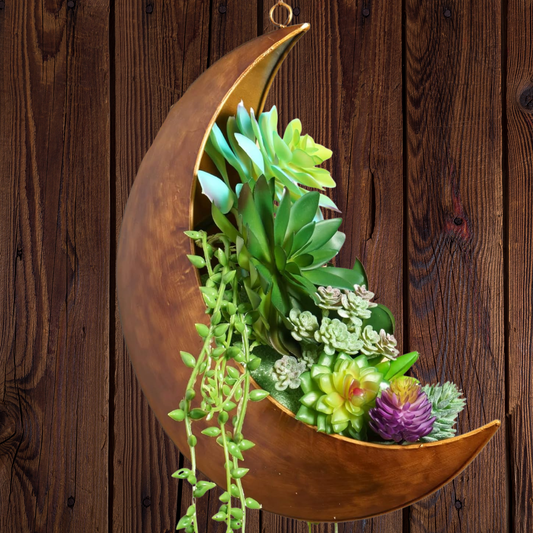 Crescent Moon Hanging Planter