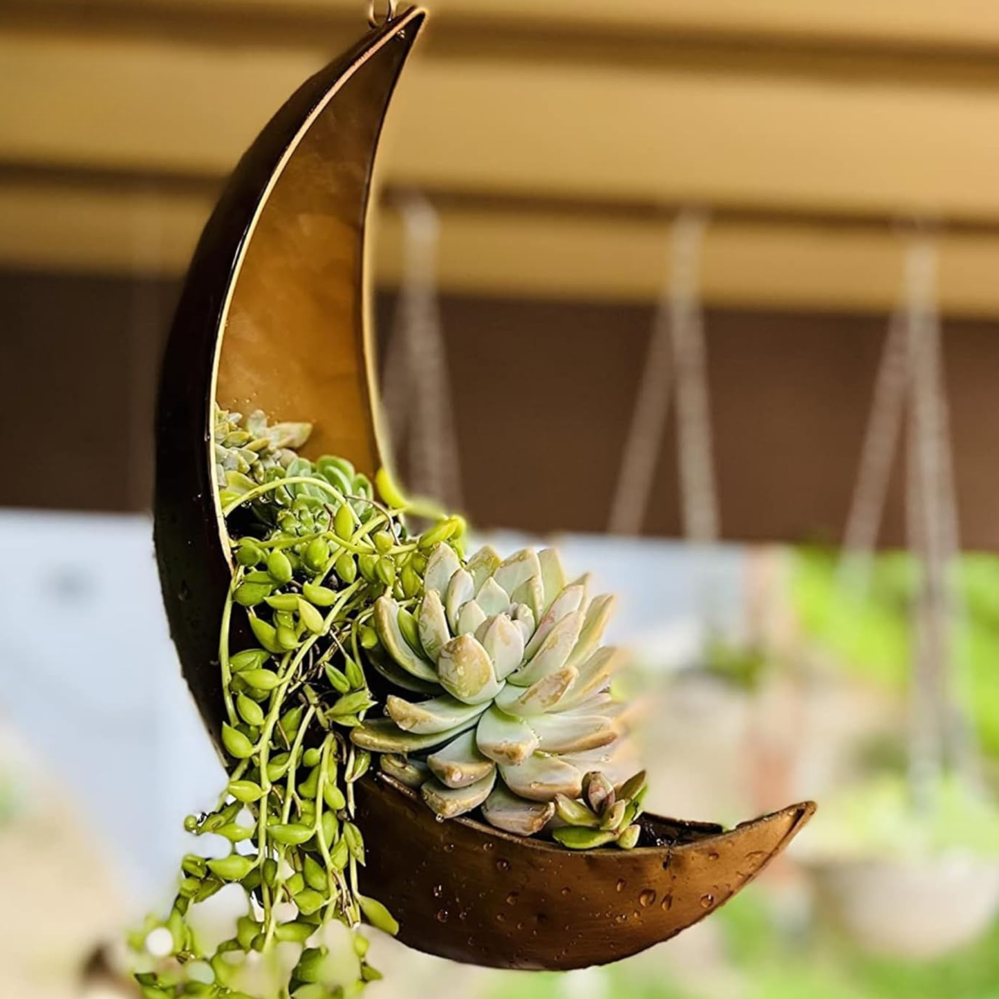 Crescent Moon Hanging Planter