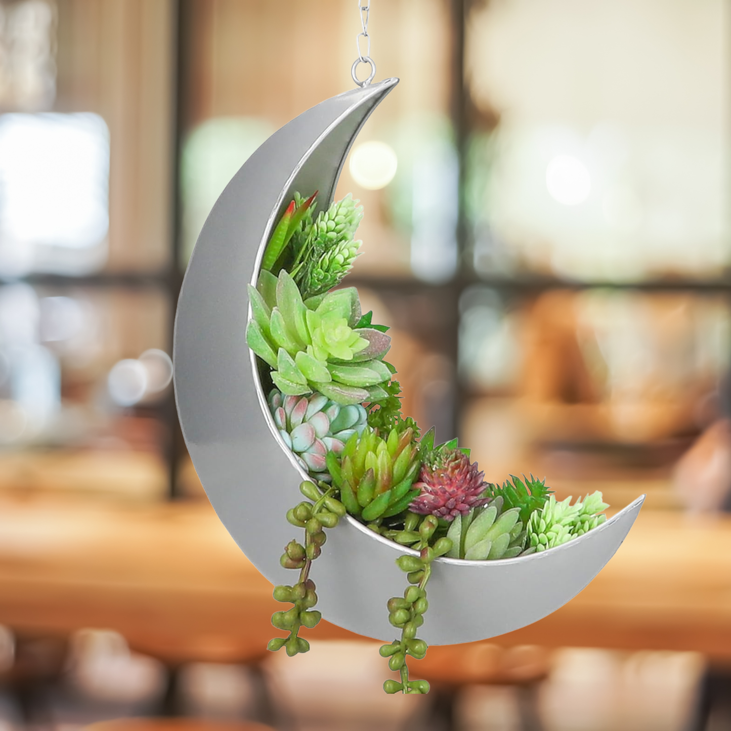 Crescent Moon Hanging Planter