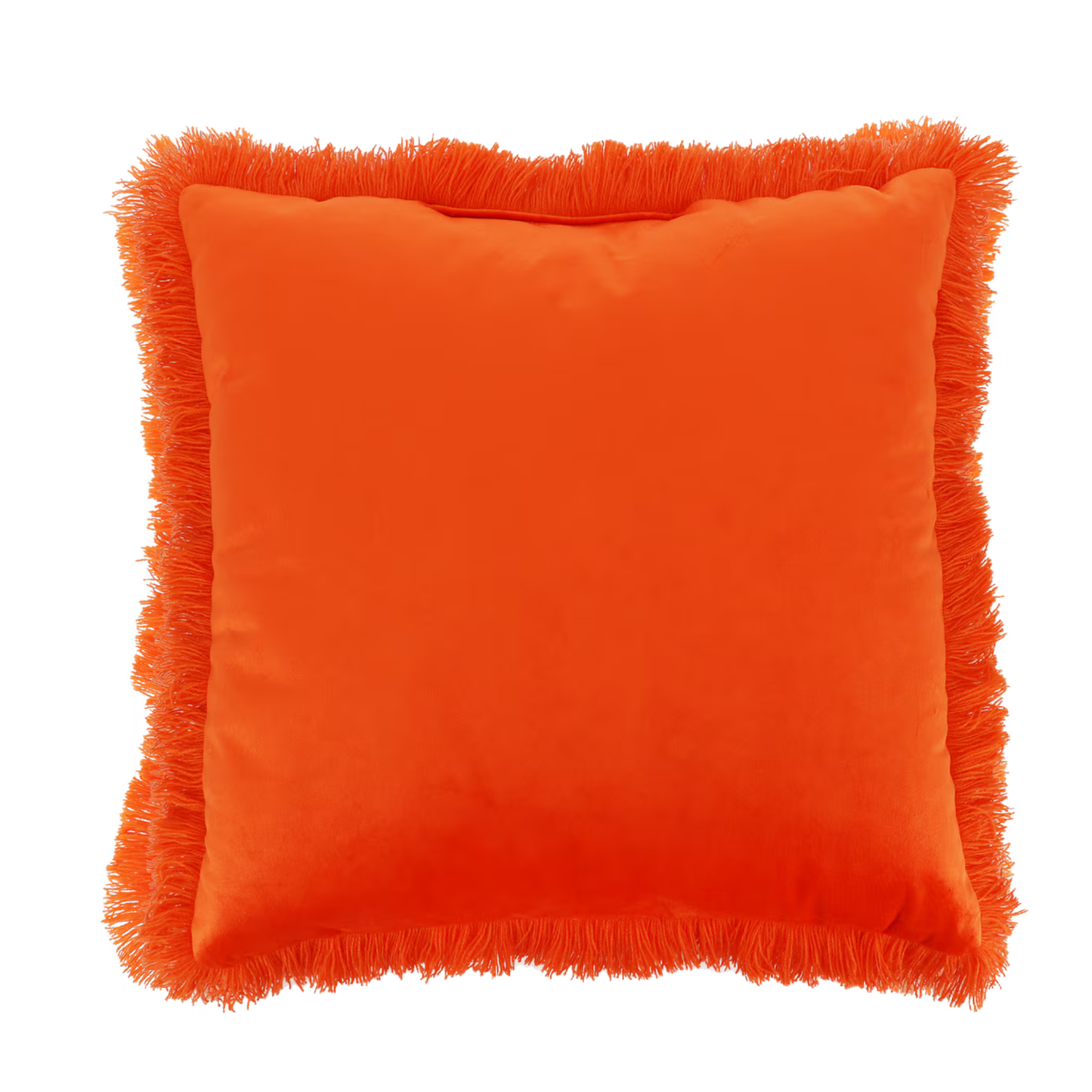 Roar of the Tiger Throw Pillow