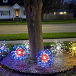 Solar Outdoor Lit Dandelion LED Lawn Stakes