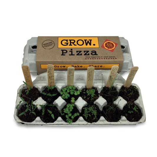 GROW PIZZA Indoor Italian Spice Grow Kit