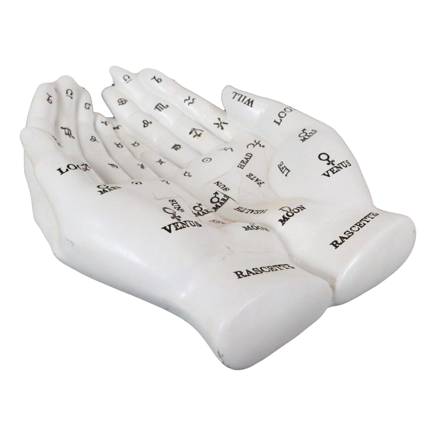 Palm Reader Trinket Storage Tray