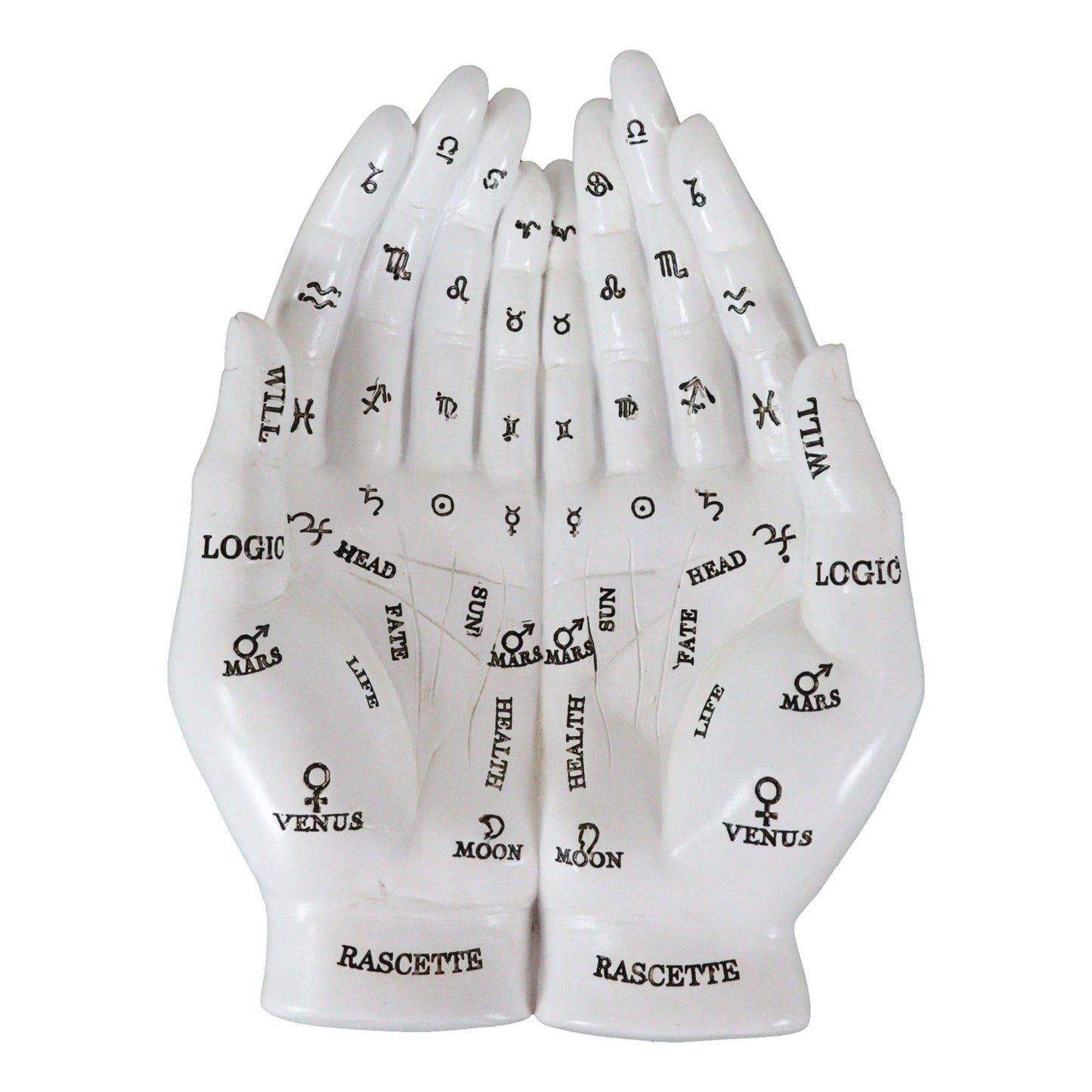 Palm Reader Trinket Storage Tray