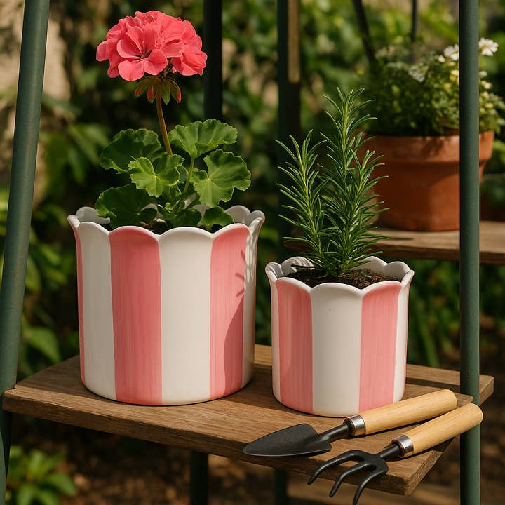 Set of 2 Pink Striped Ceramic Planters