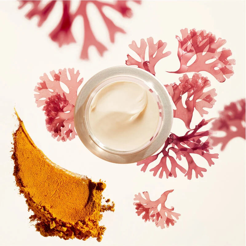 Shiseido Benefiance Wrinkle Smoothing Day Cream