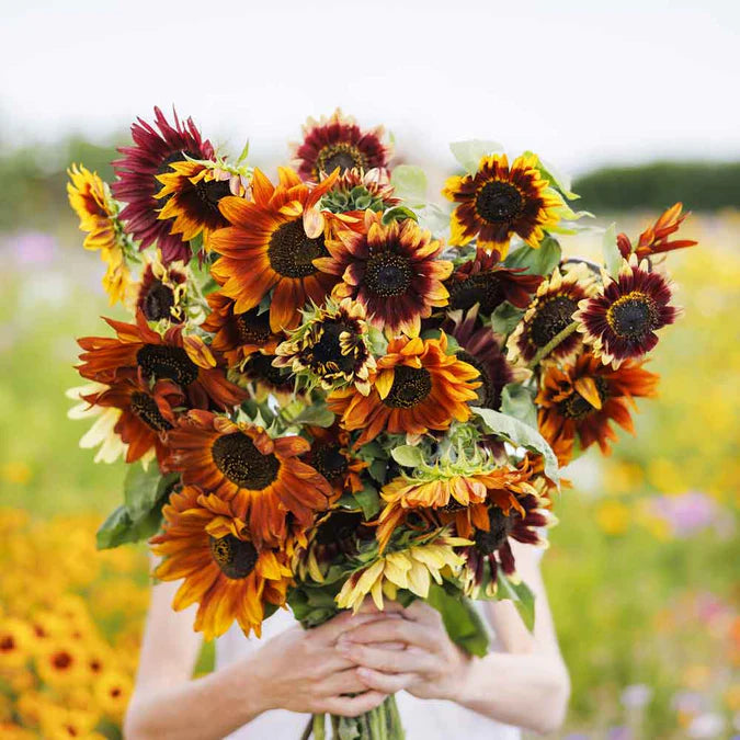 Grow Sunflowers Flower Garden Grow Kit